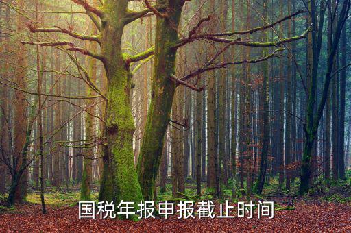 新疆國(guó)稅申報(bào)11月的什么時(shí)候結(jié)束，國(guó)稅年報(bào)申報(bào)截止時(shí)間