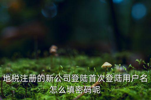 河北省地稅注冊用戶名是什么，稅務(wù)用戶名是什么啊