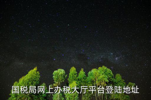 國稅網(wǎng)什么網(wǎng)站可以登錄，河北國稅網(wǎng)上辦稅服務(wù)廳用戶登錄地址
