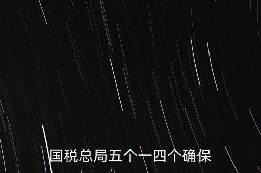 稅務(wù)局五個(gè)一是什么時(shí)候，國稅總局五個(gè)一四個(gè)確保