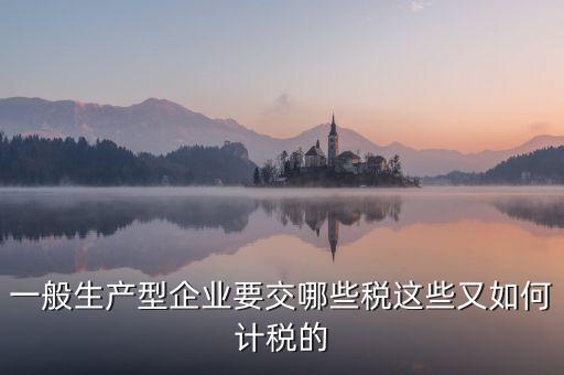 生產(chǎn)型企業(yè)交什么稅，一般生產(chǎn)型企業(yè)要交哪些稅這些又如何計稅的