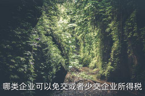 什么情況下企業(yè)可以減免稅收，哪類(lèi)企業(yè)可以免交或者少交企業(yè)所得稅