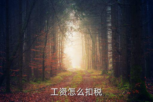 員工工資中的稅是按什么扣的，工資怎么扣稅