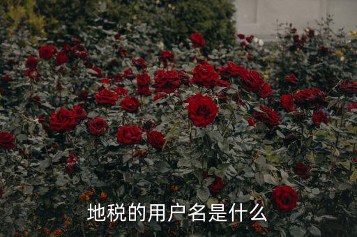 地稅登錄子賬號是什么，地稅的用戶名是什么