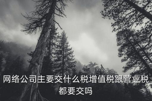 互聯(lián)網(wǎng)企業(yè)交什么稅，互聯(lián)網(wǎng)公司在稅收上有何政策