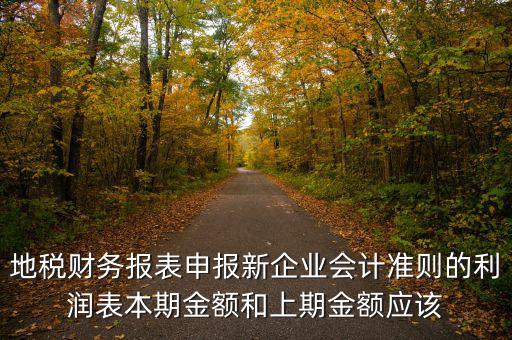 地稅利潤表的上期金額指什么，新會計制度下利潤表中本期金額和上期金額是什么意思