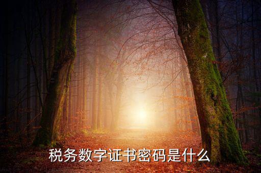 湖北地稅ca登錄密碼是什么意思，地稅CA證書如何解密碼