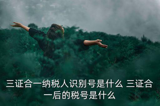 三證合一后稅號是什么，三證合一納稅人識別號是什么 三證合一后的稅號是什么