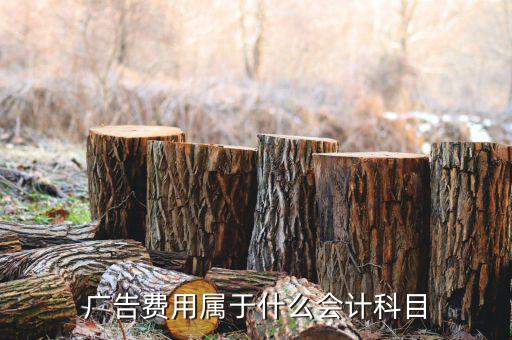 廣告宣傳費屬于什么費用，宣傳費計入什么科目