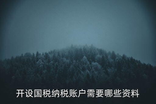 開國稅都需要帶什么資料，開設(shè)國稅納稅賬戶需要哪些資料