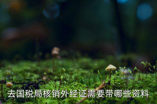 核銷(xiāo)外經(jīng)證地稅那做什么，去國(guó)稅局核銷(xiāo)外經(jīng)證需要帶哪些資料