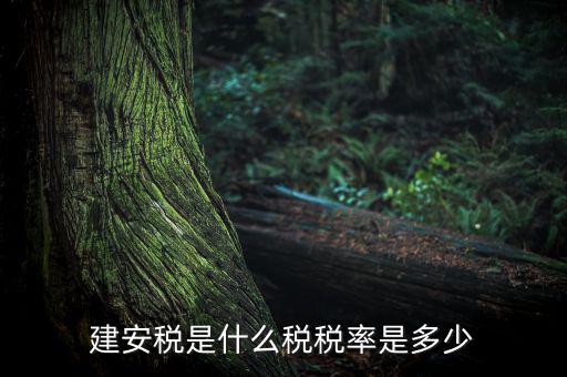 建安稅按什么征，營(yíng)改增后建安稅稅種稅率有哪些