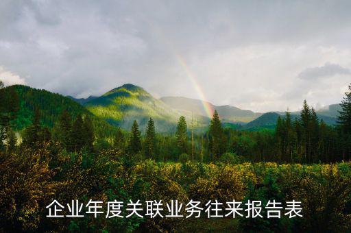 企業(yè)年度關(guān)聯(lián)業(yè)務(wù)往來報(bào)告表