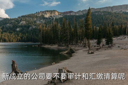 匯繳清算是什么意思，交清和繳清是一個(gè)意思嗎