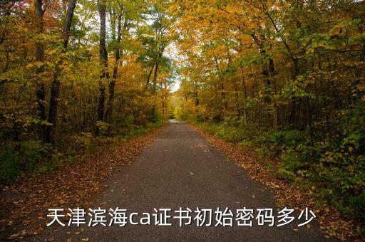 天津ca密碼是什么意思，天津社?？ǔ跏济艽a是多少啊 我是中國銀行的