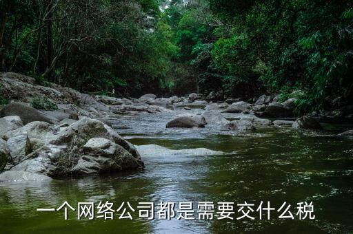 互聯(lián)網(wǎng)公司交什么稅，做互聯(lián)網(wǎng)服務(wù)行業(yè)要交多少稅