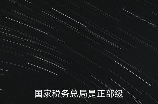 稅務(wù)大廳主任什么級(jí)別，金河鎮(zhèn)稅務(wù)務(wù)局局長(zhǎng)是什么級(jí)別