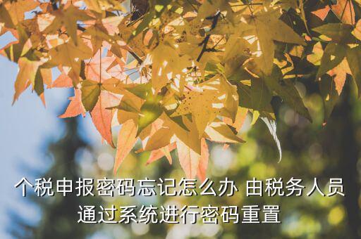 地稅重置密碼需要什么，重置個稅申報密碼需要什么