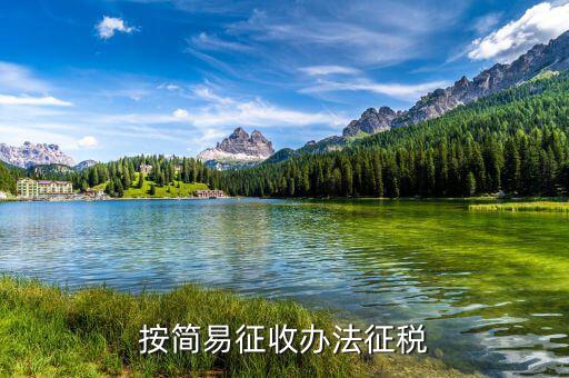 什么是簡(jiǎn)易辦法征收，采用簡(jiǎn)易辦法征收增值稅到一般納稅人可以按6或4征收增值稅這