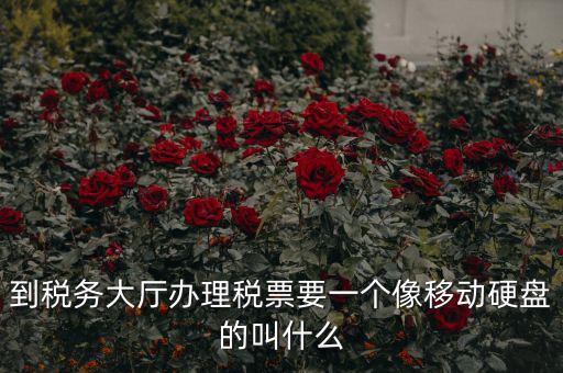 稅務(wù)磁盤什么樣，我要正確的答案