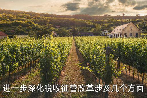 稅務(wù)改革 發(fā)展要什么，論述個人所得稅改革的基本原則