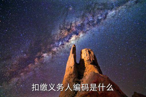 個稅系統(tǒng)扣繳義務(wù)人編碼是什么，扣繳義務(wù)人編碼是什么