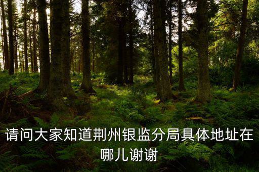 荊州稅務局在什么地方，請問大家知道荊州銀監(jiān)分局具體地址在哪兒謝謝