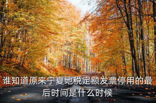地稅餐費(fèi)發(fā)票什么時(shí)間停用的，地稅發(fā)票從什么時(shí)候開始不能用了