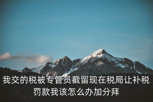 稅務(wù)人員截留稅款受什么處分，我交的稅被專管員截留現(xiàn)在稅局讓補稅罰款我該怎么辦加分拜