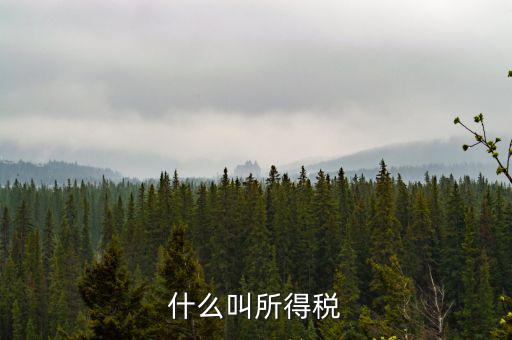 居民企業(yè)所得稅是什么，居民企業(yè)所得稅月度預(yù)繳納稅申報(bào)收入指什么時(shí)候的