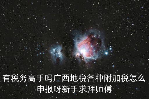 廣西地稅每個月要申報什么內容，有稅務高手嗎廣西地稅各種附加稅怎么申報呀新手求拜師傅
