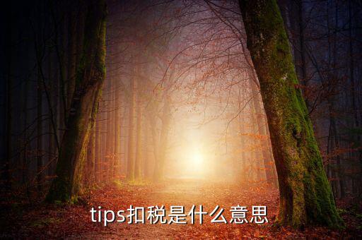 國(guó)稅tips系統(tǒng)指什么意思，電子對(duì)賬單上摘要一欄寫有tips是什么意思