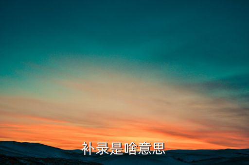 發(fā)票補錄是什么意思，補錄是什么意思