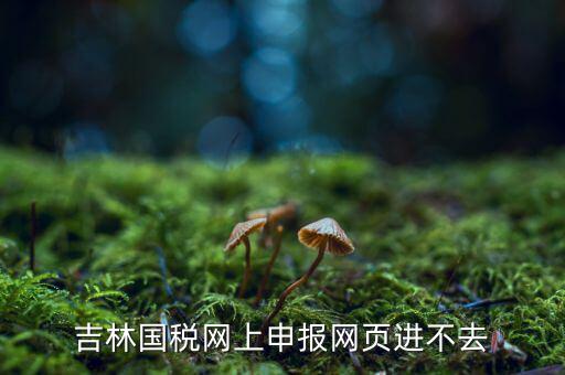 吉林省國稅上不去為什么，吉林省國家稅務(wù)局晚上申報(bào) 無法安全登陸