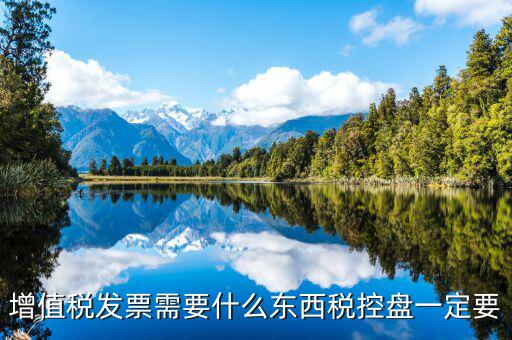發(fā)票打印需要什么盤，調(diào)試打印增值稅發(fā)票的打印機要插入金稅盤嗎