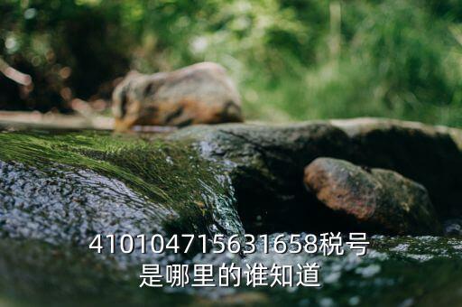 河南省的稅號(hào)是什么意思，410104715631658稅號(hào)是哪里的誰知道
