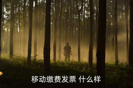 移動電子發(fā)票什么樣，移動繳費(fèi)發(fā)票 什么樣