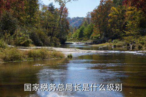 國(guó)家稅務(wù)總局長(zhǎng)是什么級(jí)別