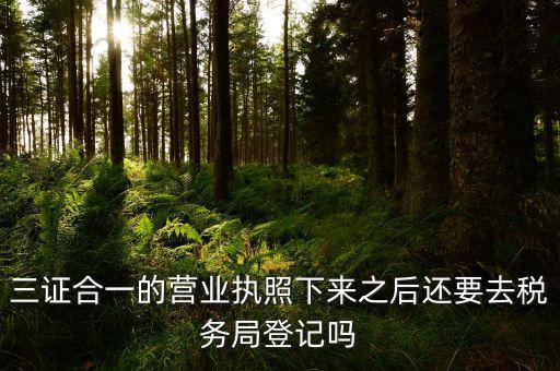 辦完三證合一 要去稅局做什么，三證合一后還需要去國地稅做些什么啊