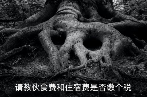 請教伙食費(fèi)和住宿費(fèi)是否繳個(gè)稅