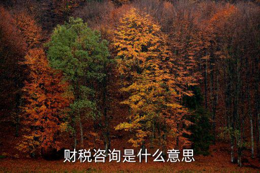 深圳稅務(wù)納稅咨詢平臺是什么意思，財稅咨詢是什么意思