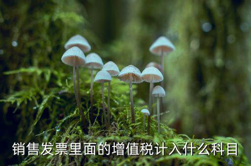 發(fā)票稅金入什么科目，開票稅金計(jì)入什么科目