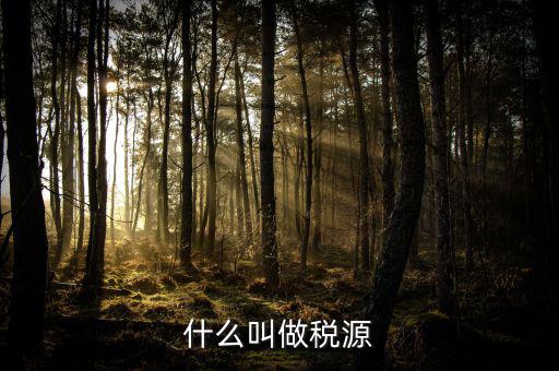 稅源標(biāo)志是什么，什么叫做稅源