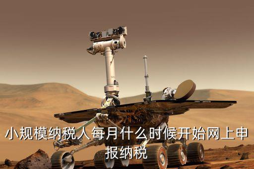 小規(guī)模納稅人每月什么時(shí)候開始網(wǎng)上申報(bào)納稅