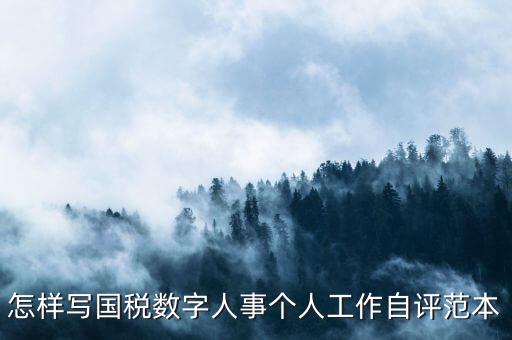 國稅數(shù)字人事是什么，專業(yè)的除了可以考會計證和證券從業(yè)資格證以為還可以考什么證