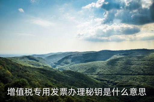 國稅密鑰是什么，增值稅專用發(fā)票辦理秘鑰是什么意思