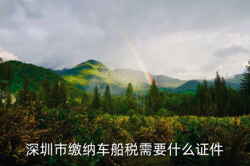 深圳市繳納車船稅需要什么證件