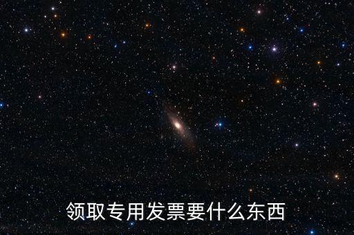 領取專用發(fā)票要什么東西