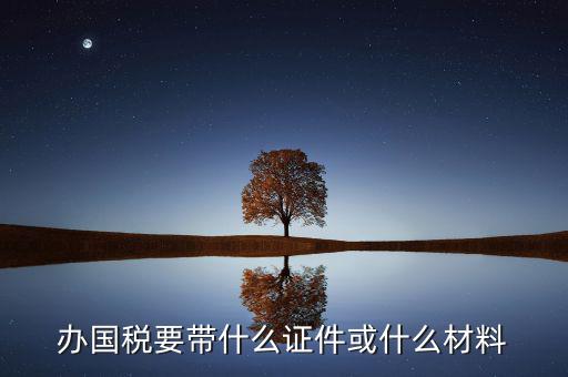 新辦國(guó)稅需要什么資料，第一次買(mǎi)國(guó)稅發(fā)票需要些什么手續(xù)