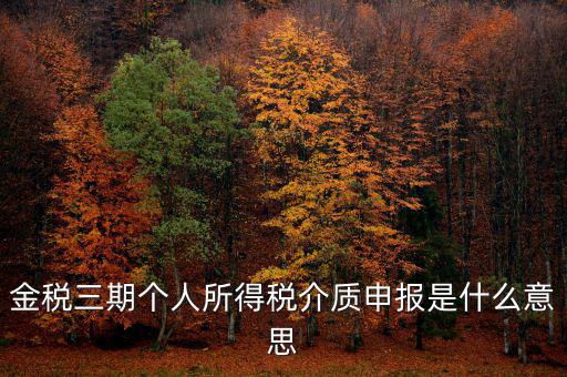 金稅三期個人所得稅介質申報是什么意思